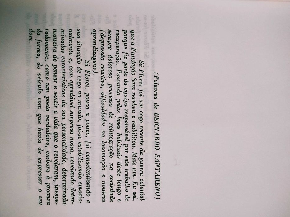 O Sol da Noite - Sá Flores