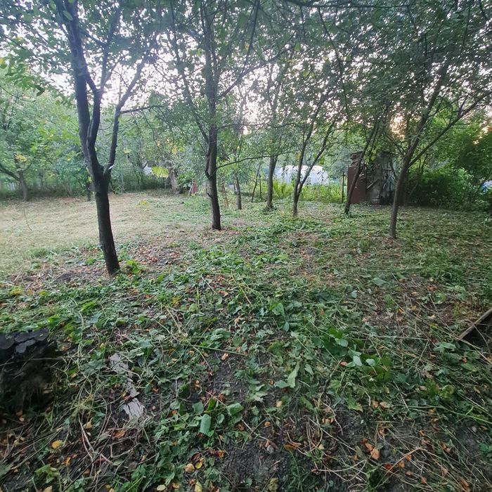 Продаж земельної ділянки з будинком Васильків