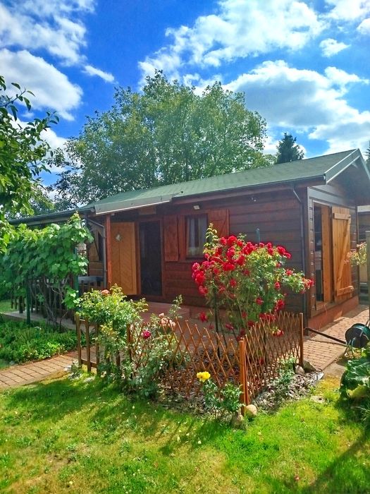 Działka ROD z pięknym domkiem z tarasem