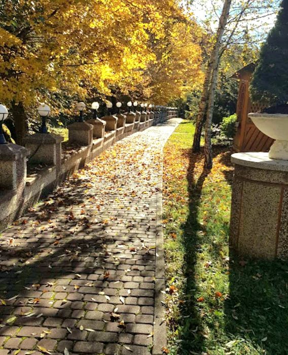 ПРОДАЖ Готельно-ресторанного комплекса "НАТАЛІ" у Закарпатті / село Підполоззя
