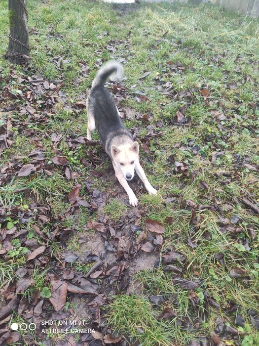 Хлопчик рік і два місяці шукає хорошу родину!