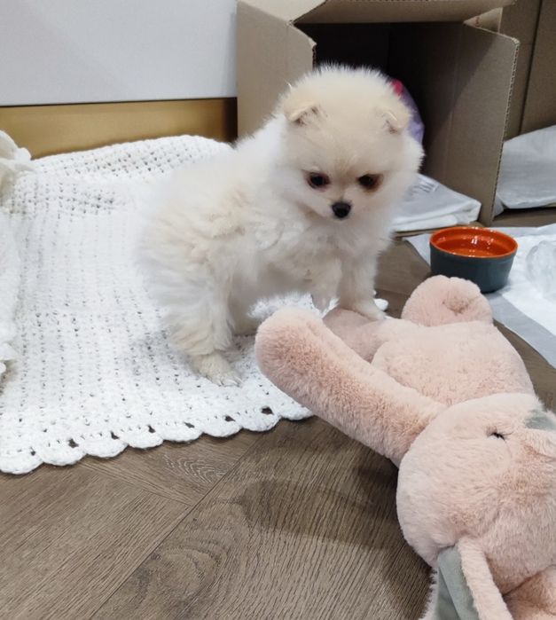 Запитуйте! Хлопчики та дівчатка