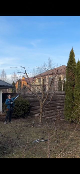 Обрізка плодових дерев, обрізка саду, обрізка кущів, обрізка дерев