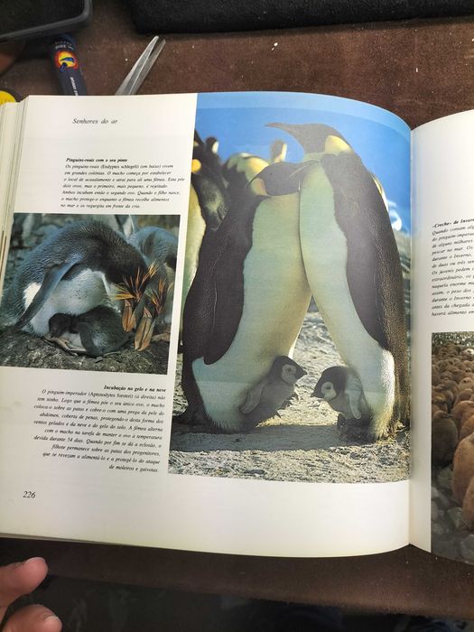 Livro A Vida Na Terra (CXL1)