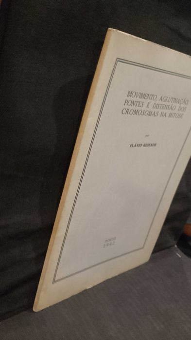 Movimento, Aglutinação, Pontes e distensão dos Cromosomas na Mitose