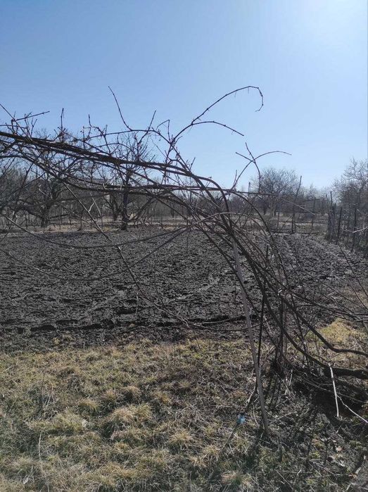 Продам дачу Нова Павлівка