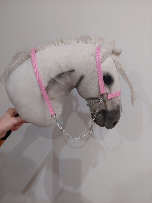 Prezenterka z uwiazem hobby horse
