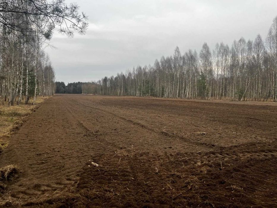 Rudnik Mały – działki budowlane przy lesie | pojedynczo lub w pakiecie pod projekt | prawomocne WZ | wyjątkowa lokalizacja 15 min od Częstochowy - Widok 4