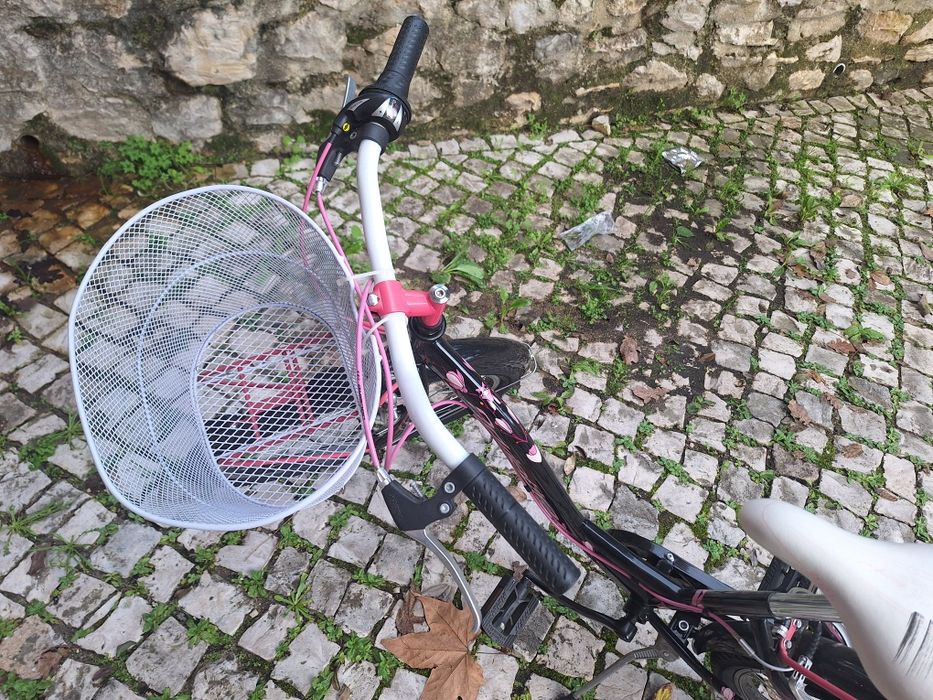 Bicicleta adriática