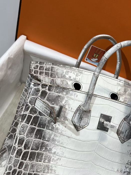 Hermes Birkin 25 Himalaya