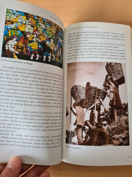 Livro "Tudo sobre o Vinho do Porto" de João Paulo Martins