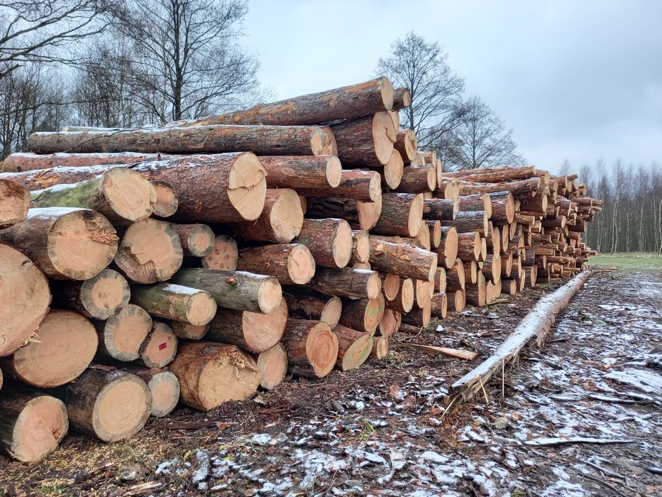 Drewno Opałowe i Kominkowe z Transportem