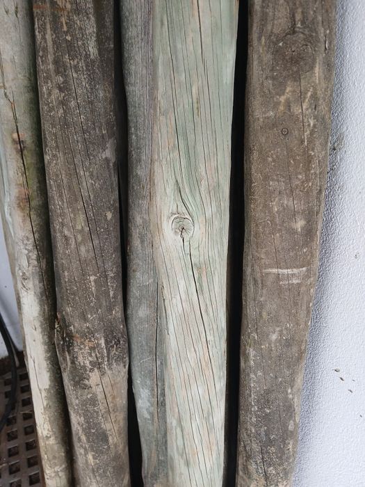 PROMOÇÃO   tenho cerca de 100 Paus tratados .