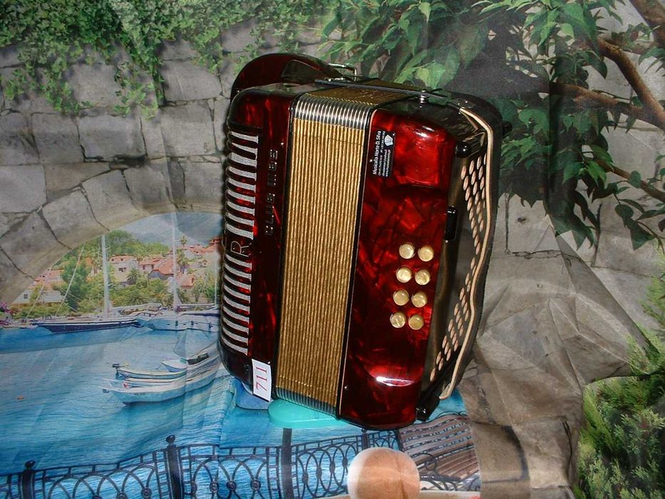 Concertina a venda n.711