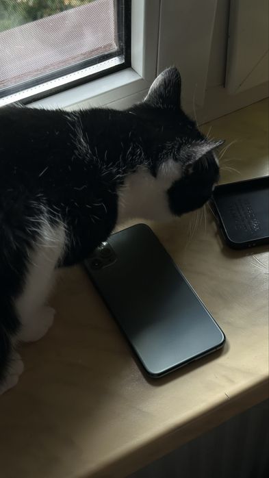 Iphone 11 pro max 256