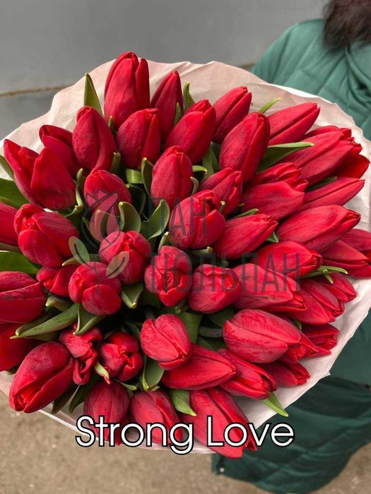 Тюльпани ОПТОМ Український Голандський, під 8 березня Пан Тюльпан