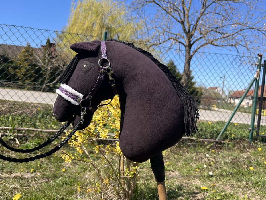 hobby horse kon A3