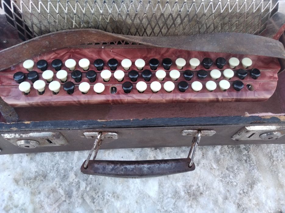 Аккордеон Украина.