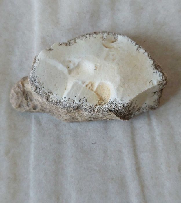 Dendrite Rock, Dendritik rock