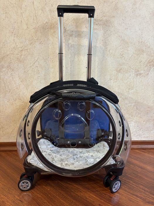 Переноска для кота на колесах прозора