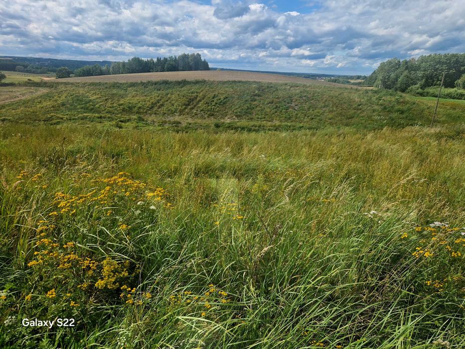 Dzialka Rolno-Lesna-Woda  9,5 ha