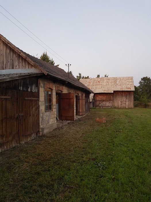Zdjęcie 2