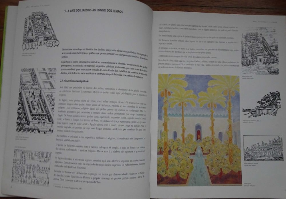 Arte Natureza e A Cidade