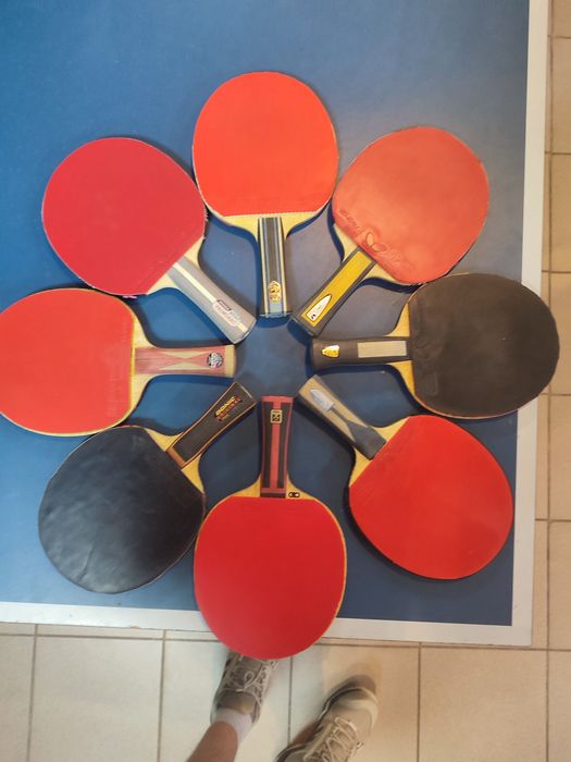 Основа батерфляй butterfly timo boll  alc zlc zlf alc xiom fuga