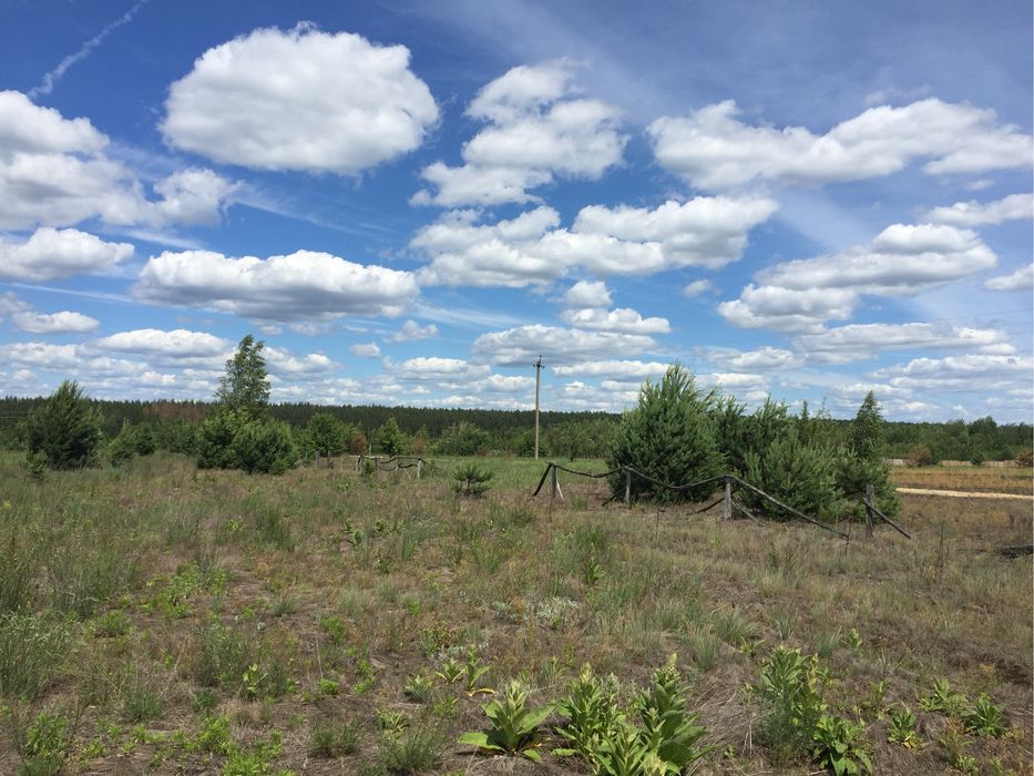 Продаж земельної ділянки 0,25 га біля бази відпочинку