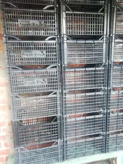 Пластиковые ящики