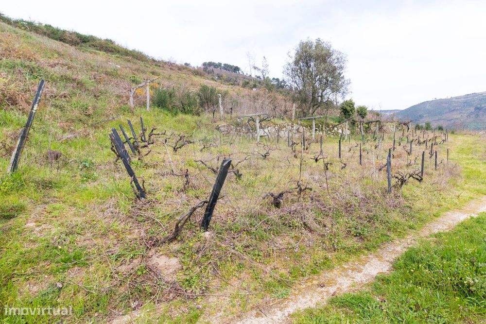 Terreno  para venda — Santa Marinha do Zêzere, Porto