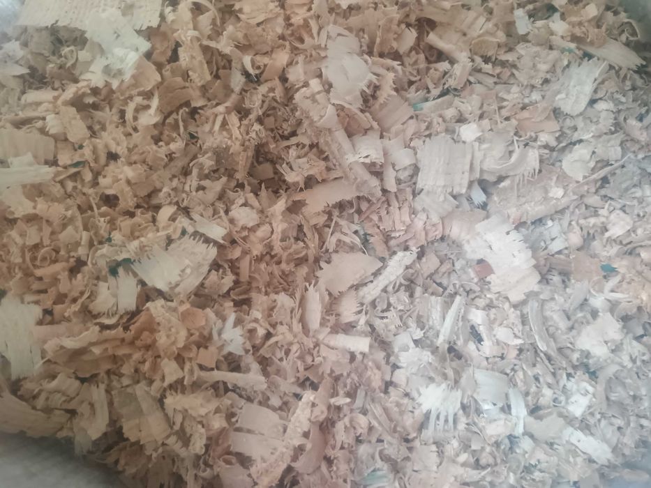 Trociny wiórki dla gryzoni chomików , naturalne podłoże