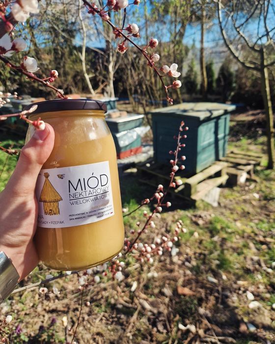 Miód Wielokwiatowy 1Litr