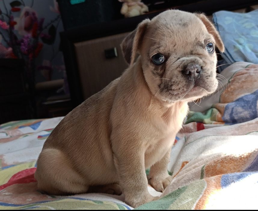 Малыши разных окрасов