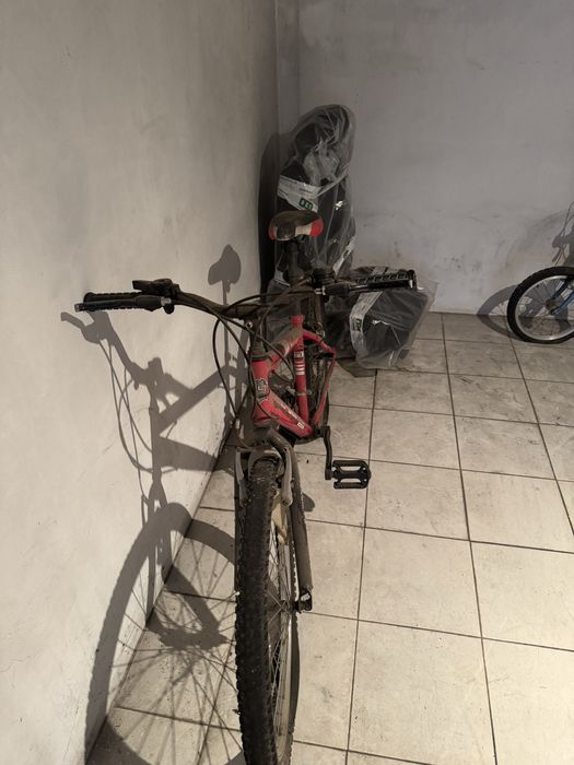 Bicicleta jl-went