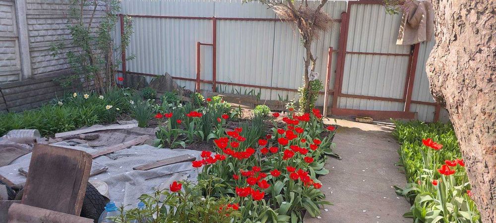 Дом по адресу (площадь 30 м²) - Atlanta.ua - фото 7