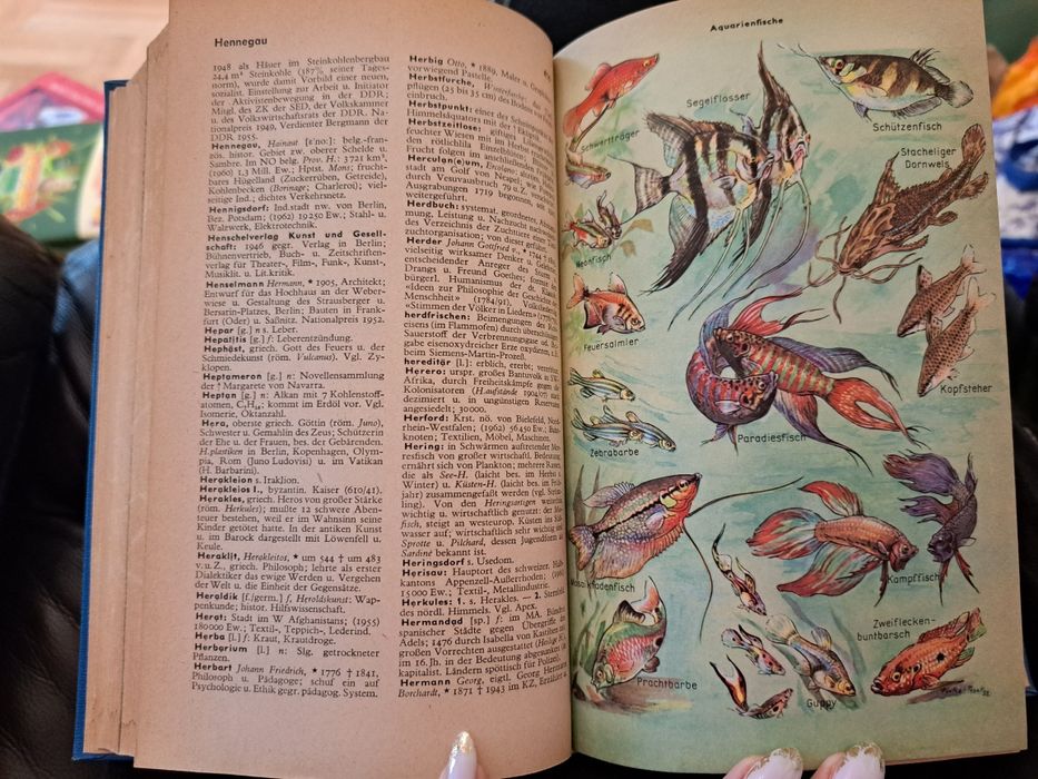 Meyers Taschen Lexikon