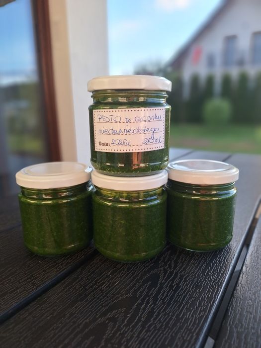Pesto z czosnku niedźwiedziego[10szt]