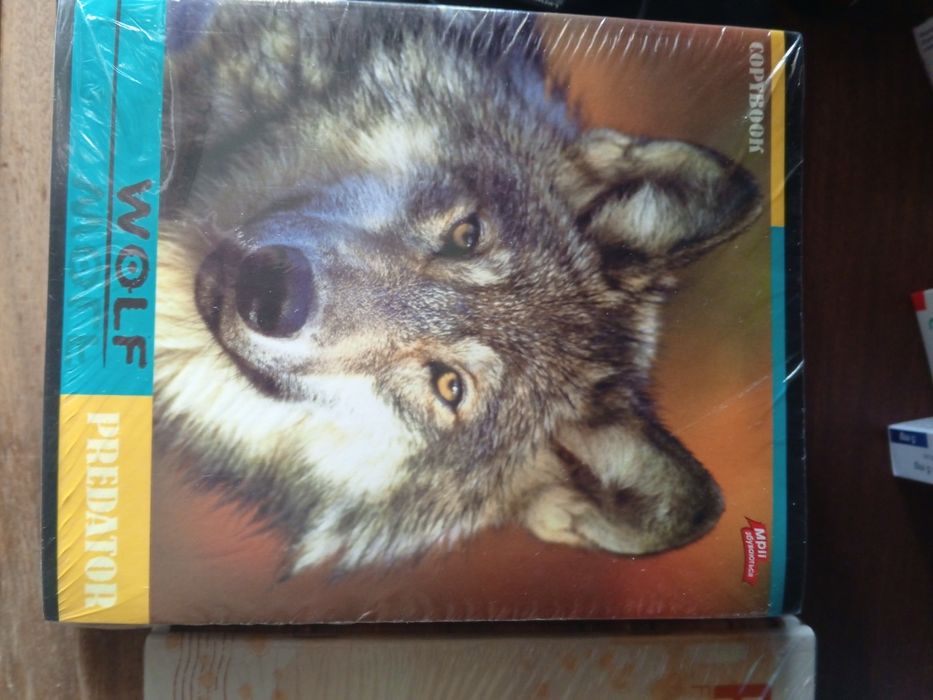 Зошит 96 аркушів в клітинку