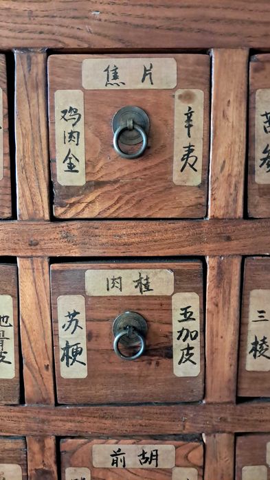 Armário de boticário da Medicina Tradicional Chinesa