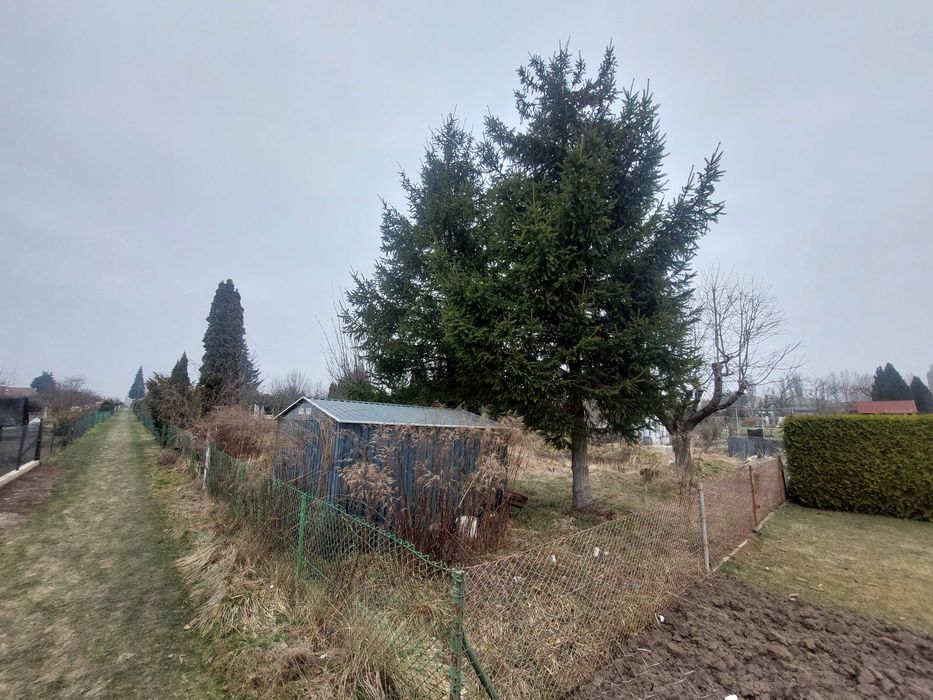 Sprzedam działkę rekreacyjno-ogrodową w Głogowie