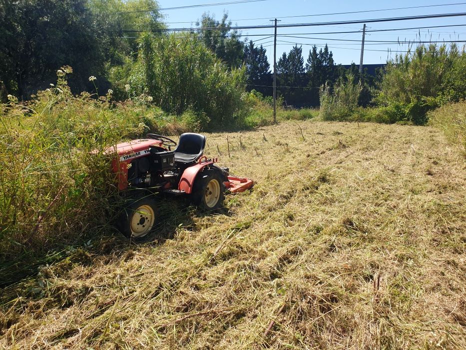 Serviço limpezas terrenos/jardins