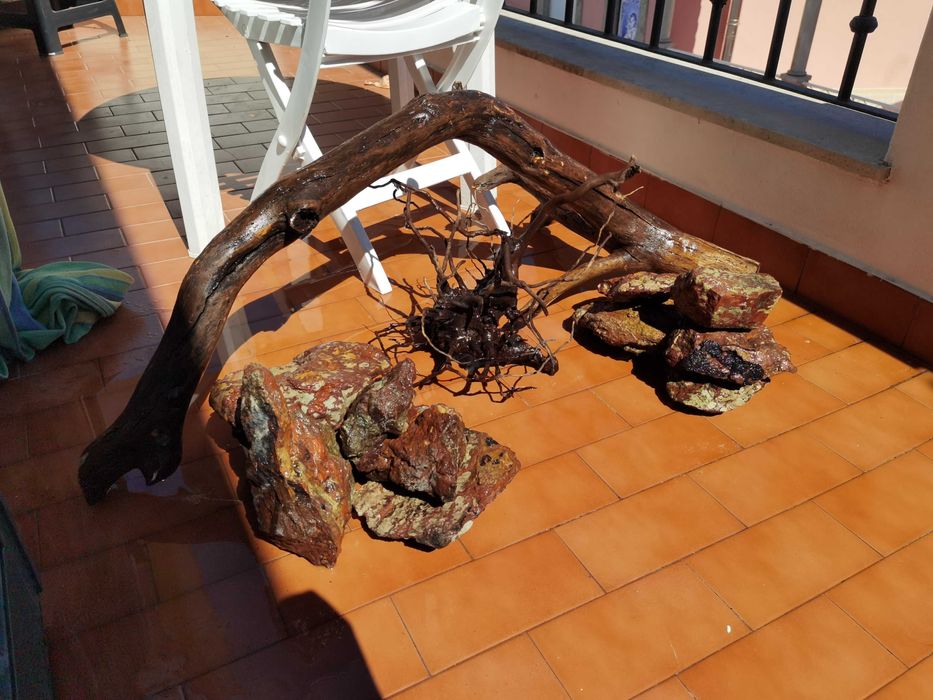 Layout aquário raiz/pedras