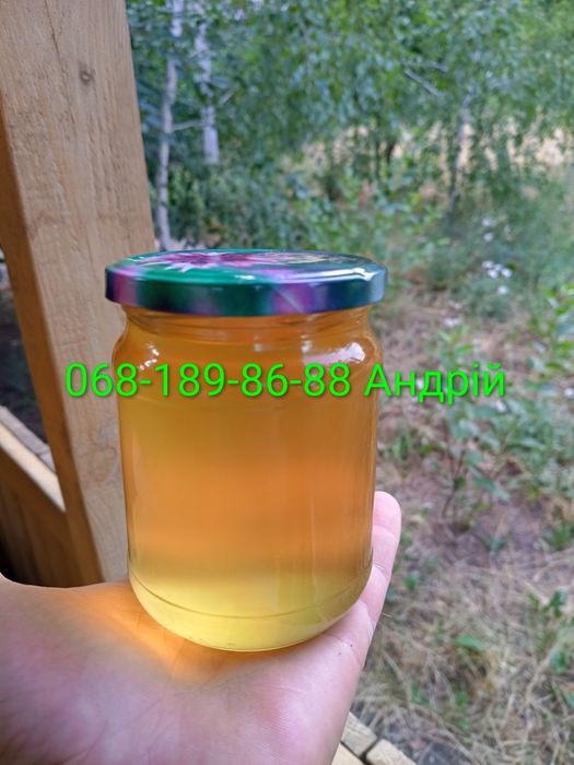 Продам мед акациевий,липовий свежий 2026