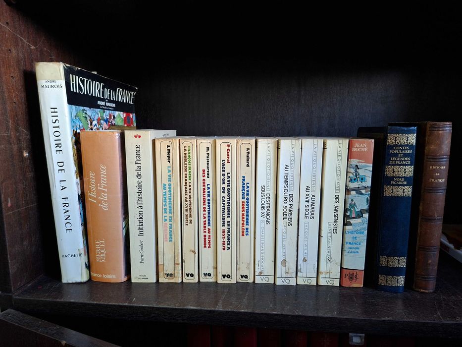 Histoire de France - Lot de 15 Livres en Français - livros sobre a História de França