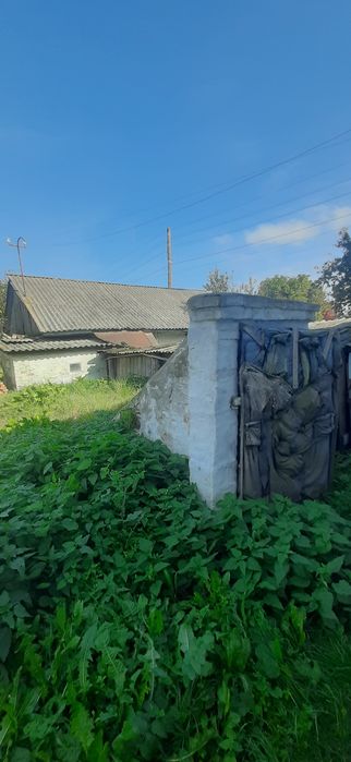 Пропоную гарний жилий будинок поблизу смт Козелець