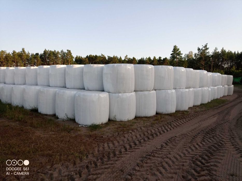 Bele sianokiszonki i siana sprzedam.