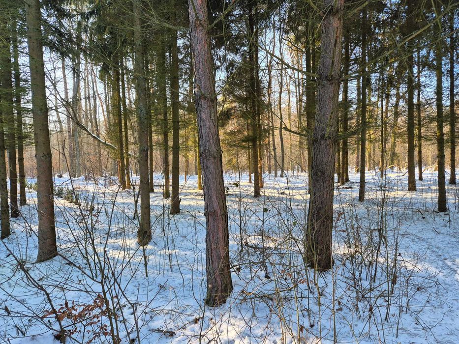 Atrakcyjna działka rolno- budowlana