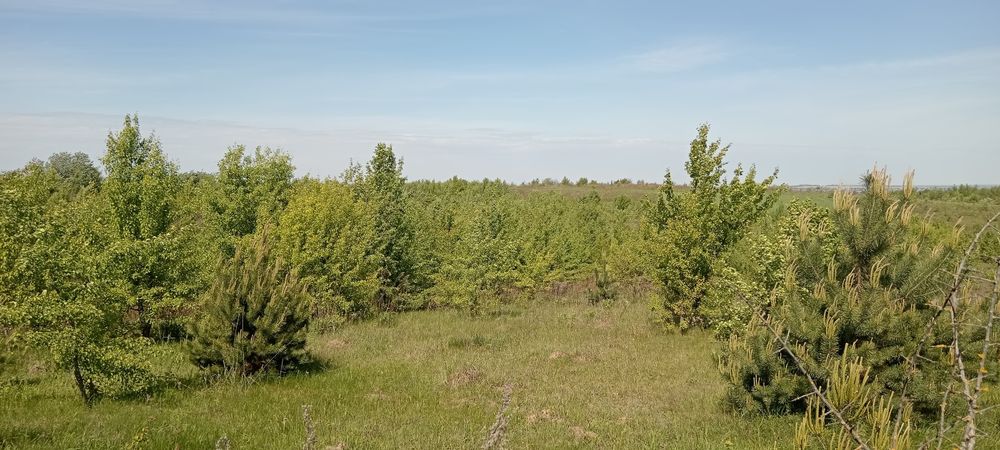 $ Продаж ділянки біля Білої Криниці