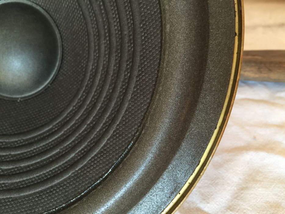 Głośnik Tonsil GDN 20/50